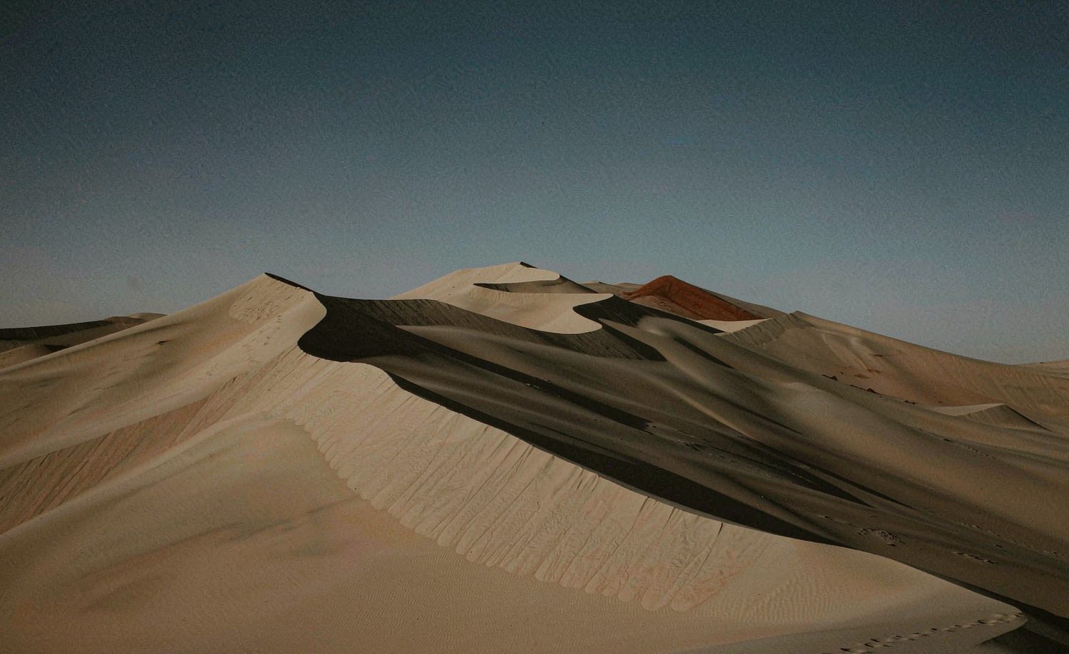 Dunes de sable aux crêtes dessinées par le vent, en fin de journée